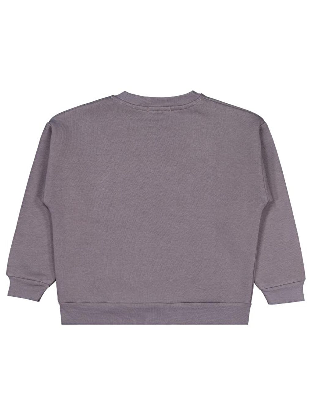 Gri Boys Banosome Baskılı 6-9 Yaş Sweatshirt-1