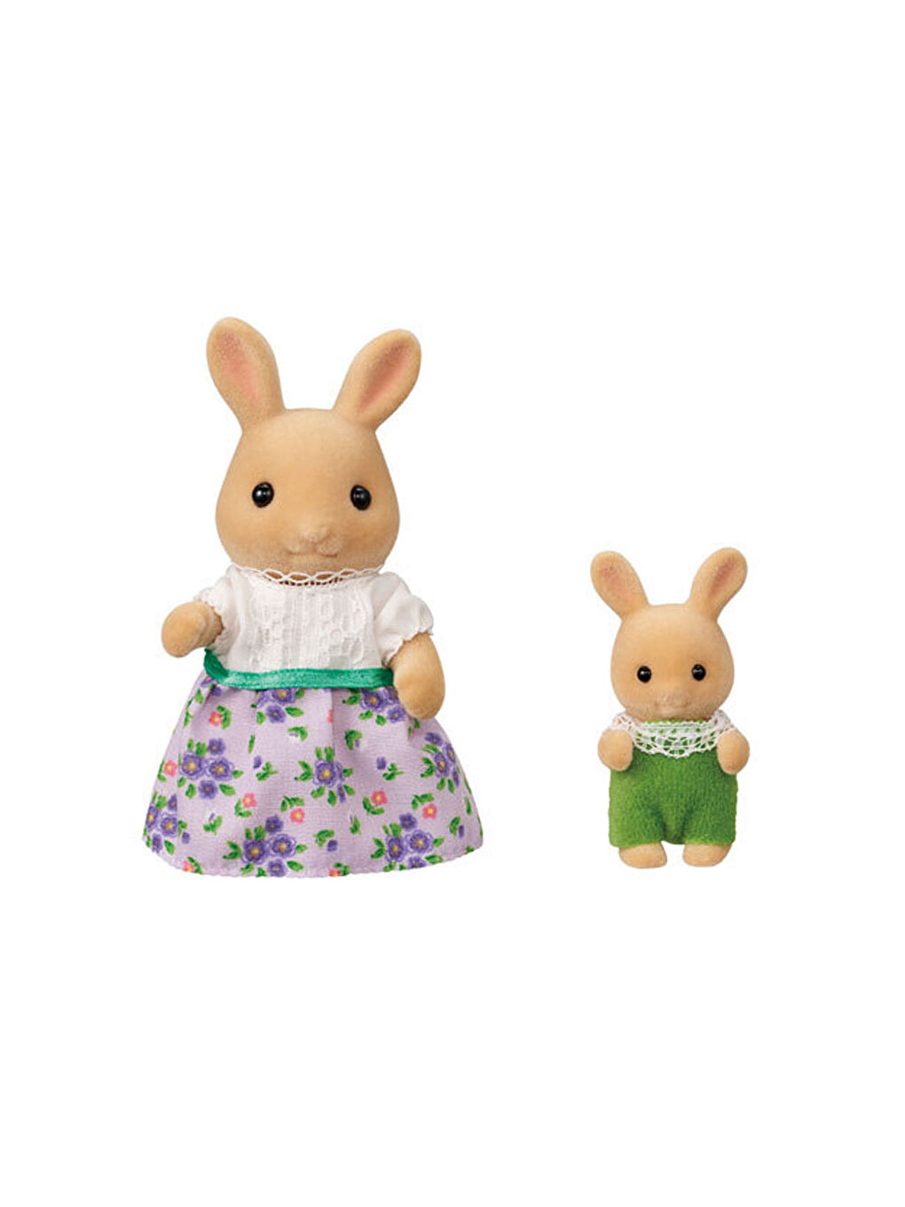 G Wisteria Ev Seti 5728-2