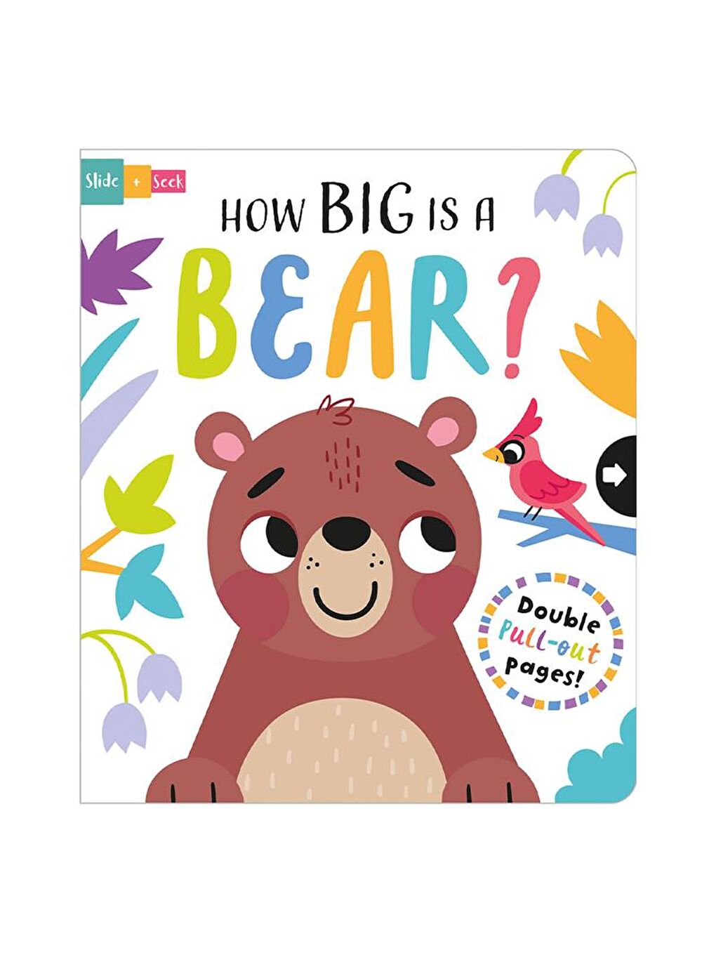 Imagine That How Big is a Bear - Board Book