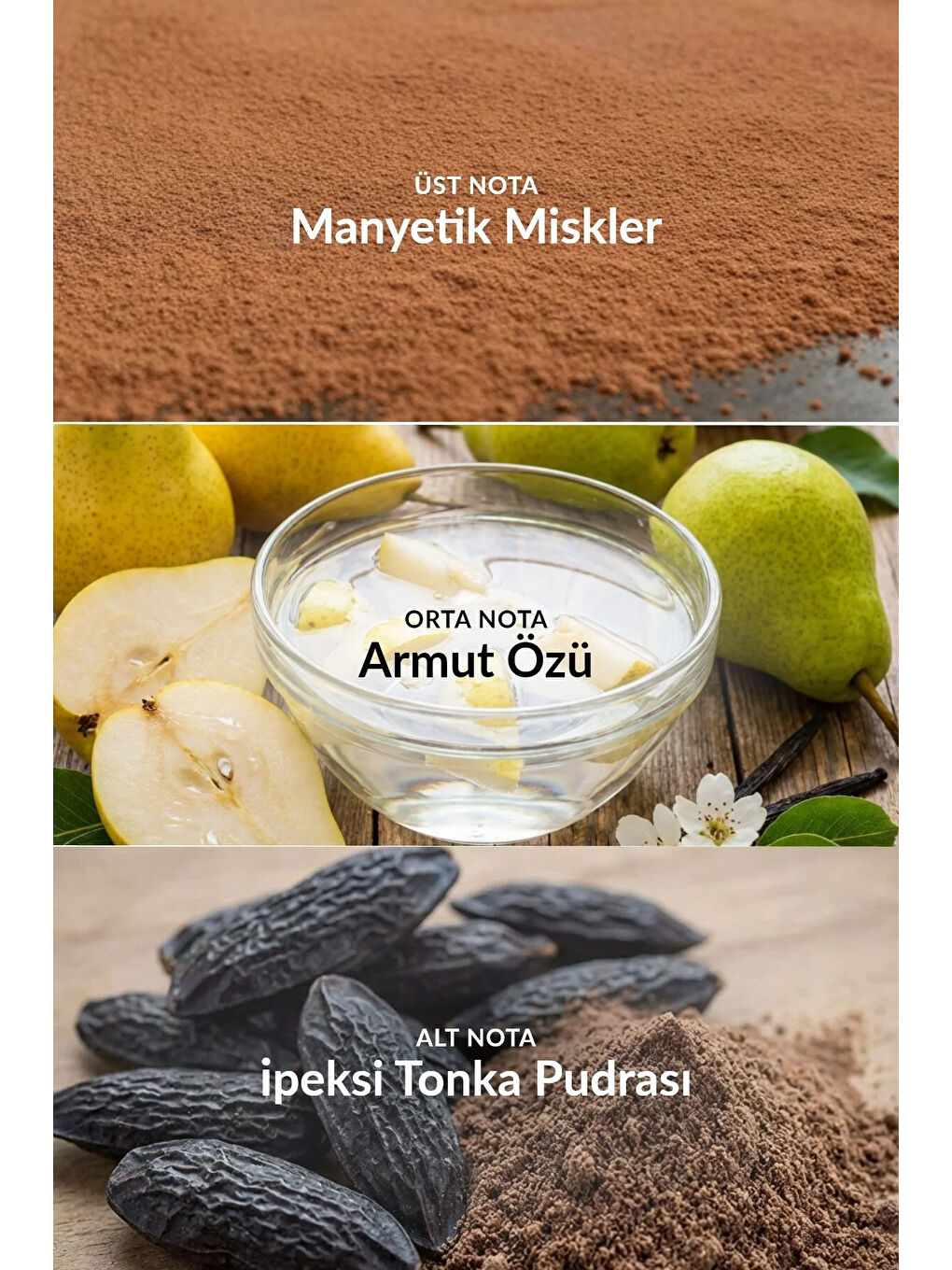 Attraction Nemlendirici Vücut Kremi 200 Ml.-2
