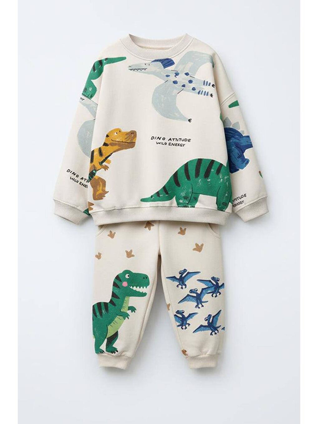 Pembe Erkek Çocuk Baskılı Alt Üst Takım