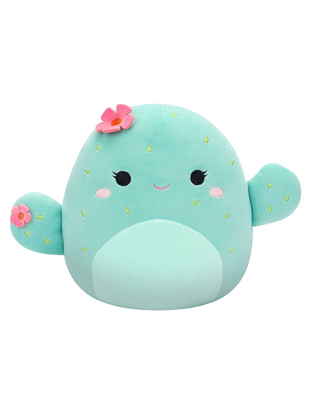 Kaktüs Graciela 20cm CR06580