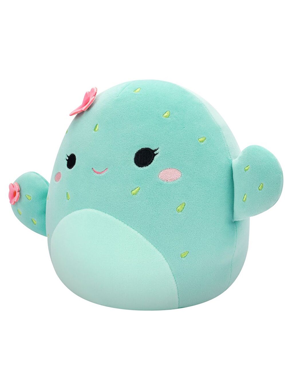 Kaktüs Graciela 20cm CR06580-1