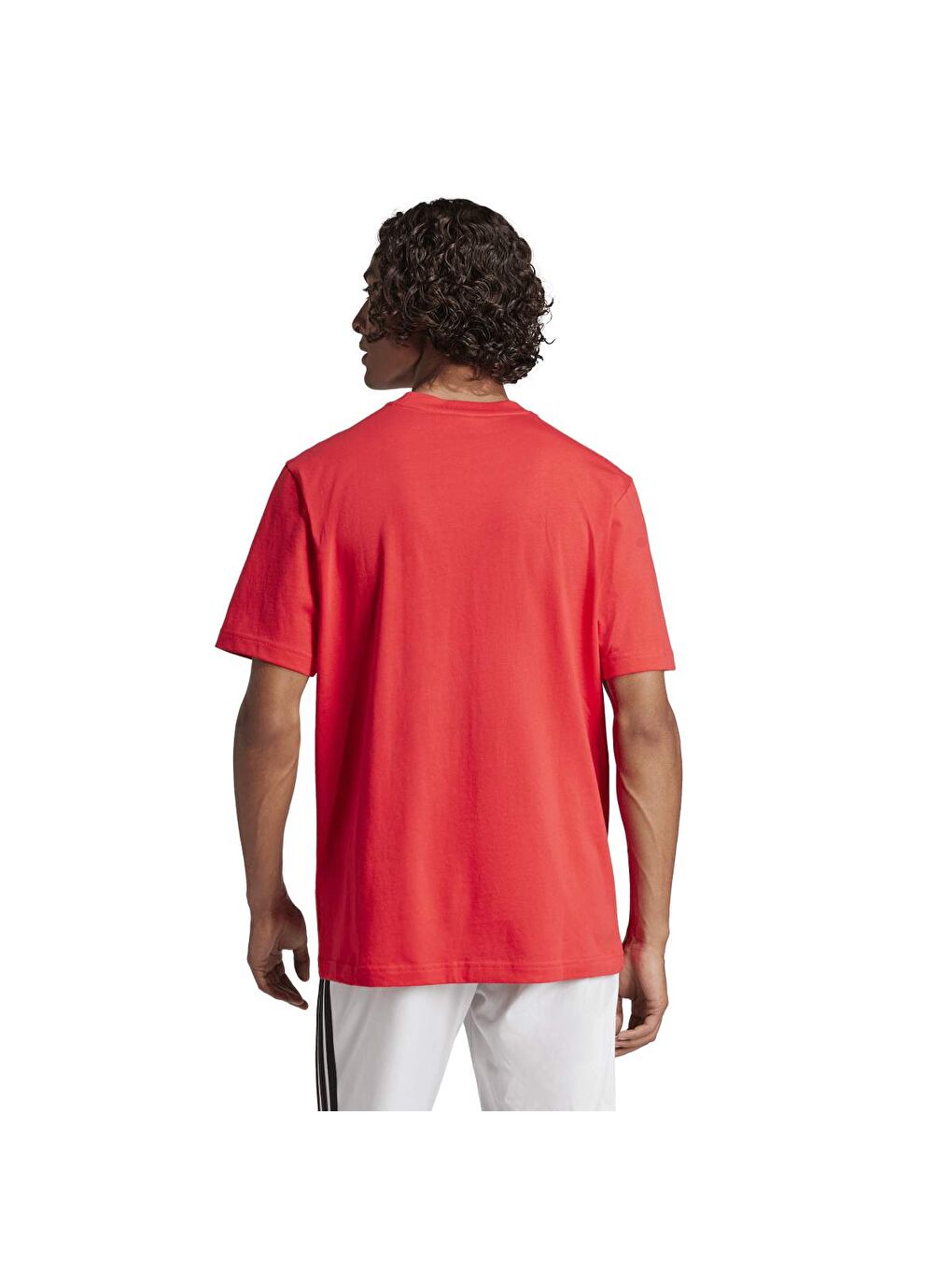 Small Logo Sj Erkek Kırmızı Yuvarlak Yaka Tişört-1