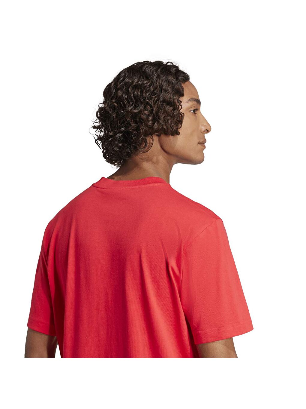 Small Logo Sj Erkek Kırmızı Yuvarlak Yaka Tişört-3