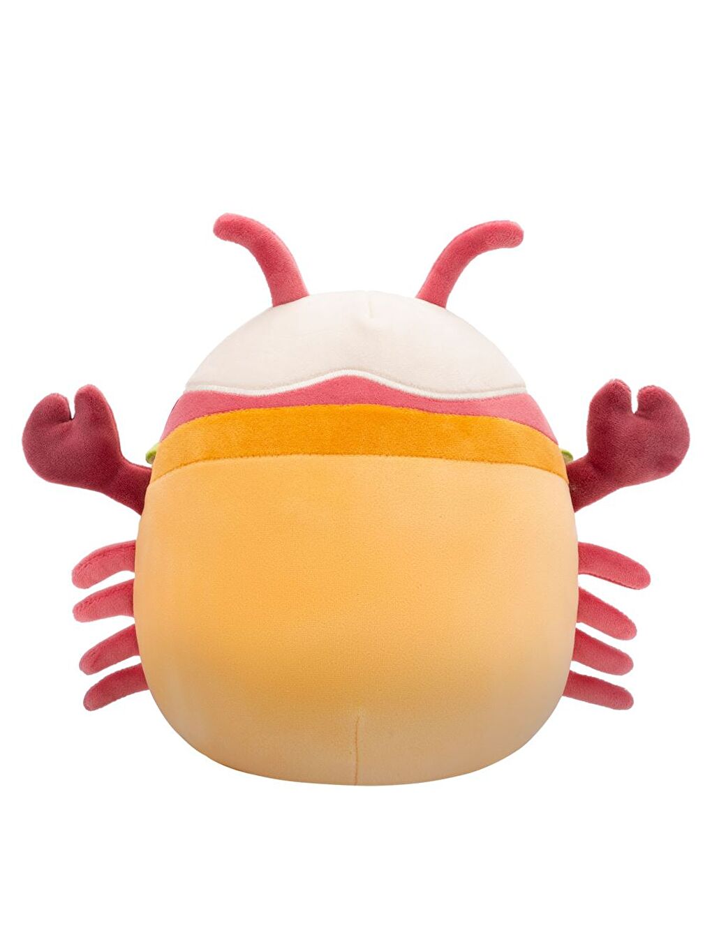 Istakoz Lorono 20cm SQCR06592-3