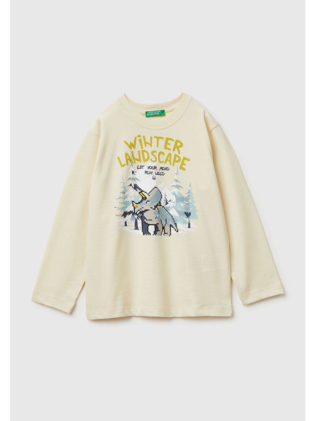 Ekru Erkek Çocuk Krem Baskılı Bisiklet Yaka Jarse Uzun Kollu T-shirt