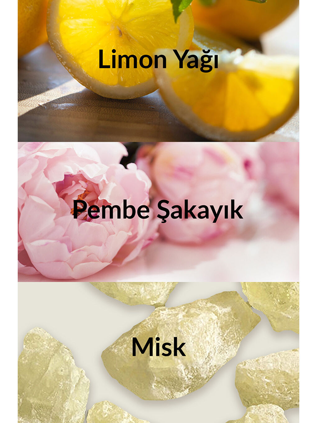 Little Black Dress Holiday Kadın Parfüm Edp 50 Ml.-3