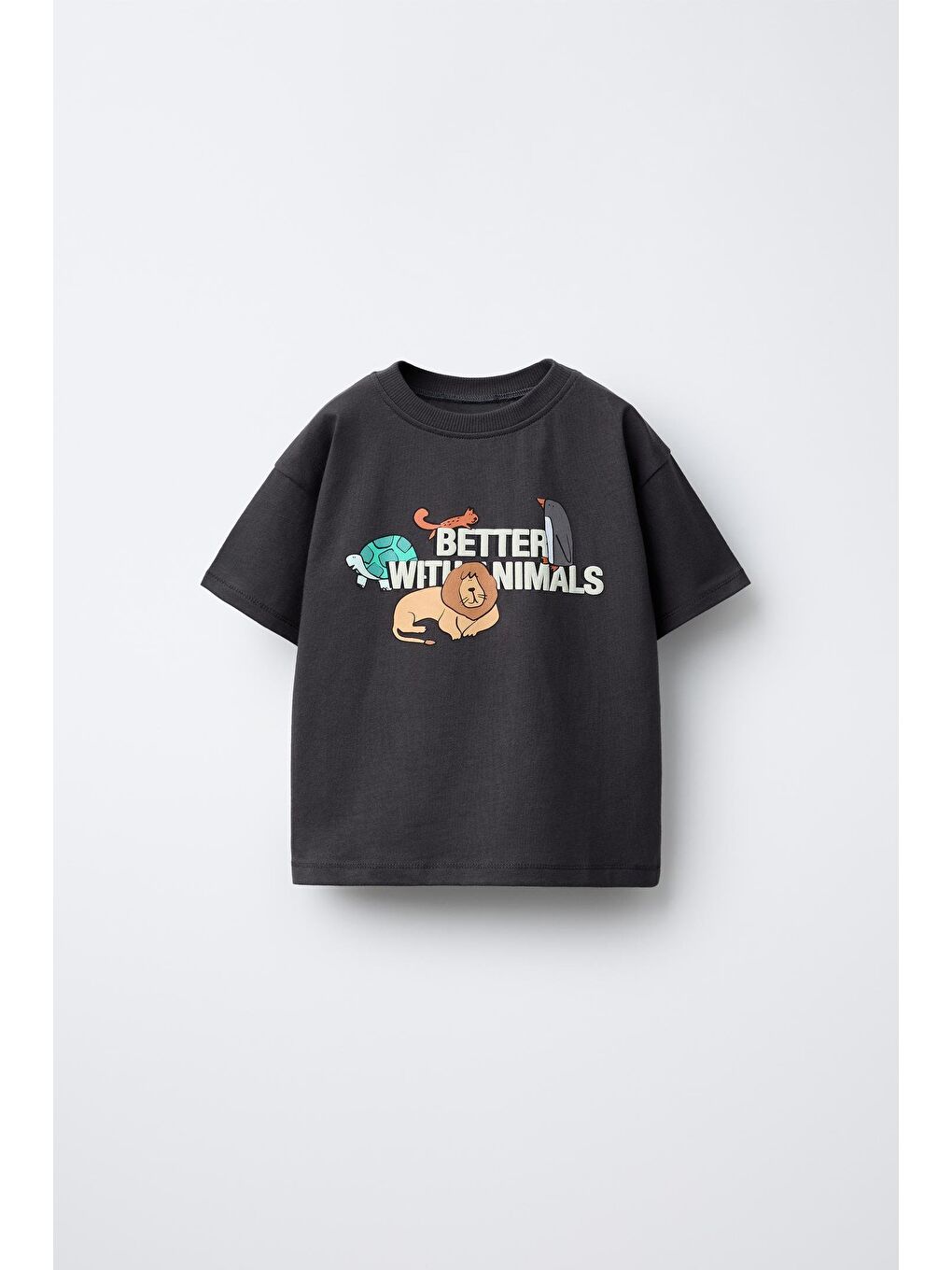 Karışık Erkek Çocuk Pamuklu Baskılı T-Shirt Ve Çizgili Takım-1