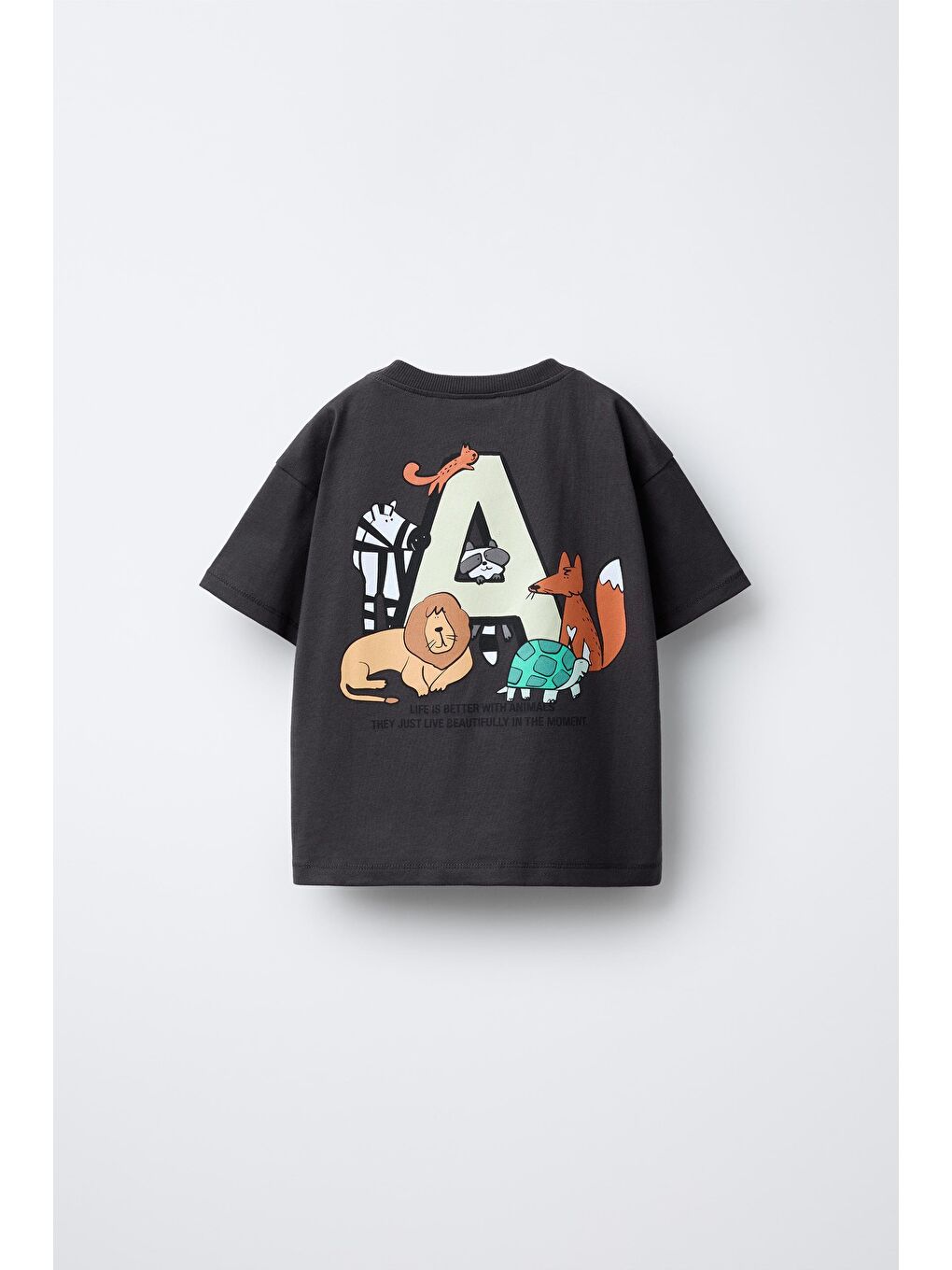 Karışık Erkek Çocuk Pamuklu Baskılı T-Shirt Ve Çizgili Takım-2