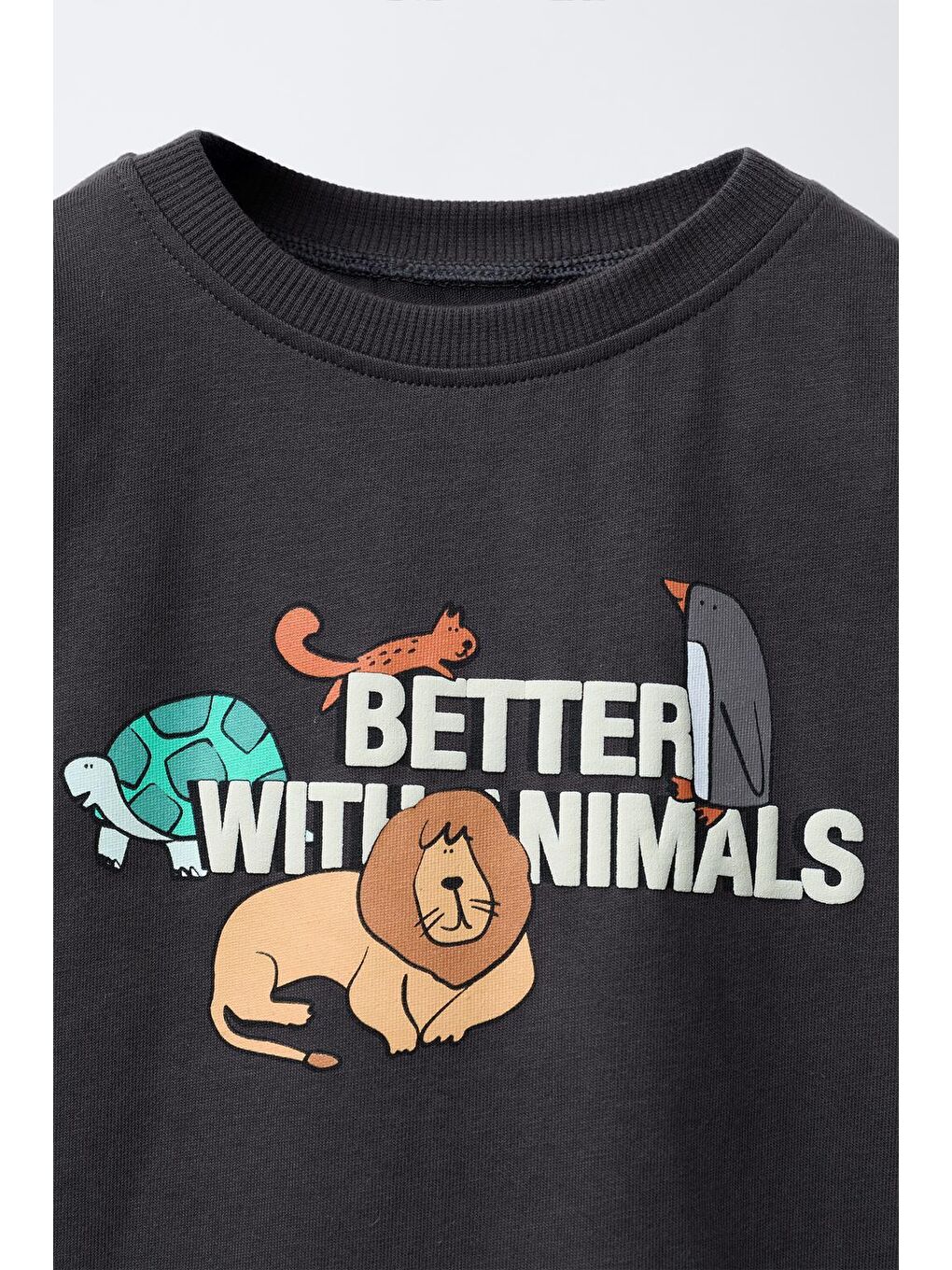 Karışık Erkek Çocuk Pamuklu Baskılı T-Shirt Ve Çizgili Takım-3