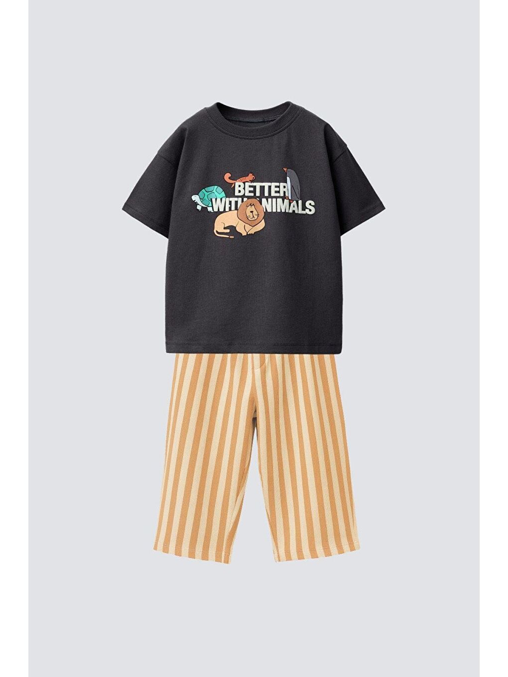 Karışık Erkek Çocuk Pamuklu Baskılı T-Shirt Ve Çizgili Takım-4