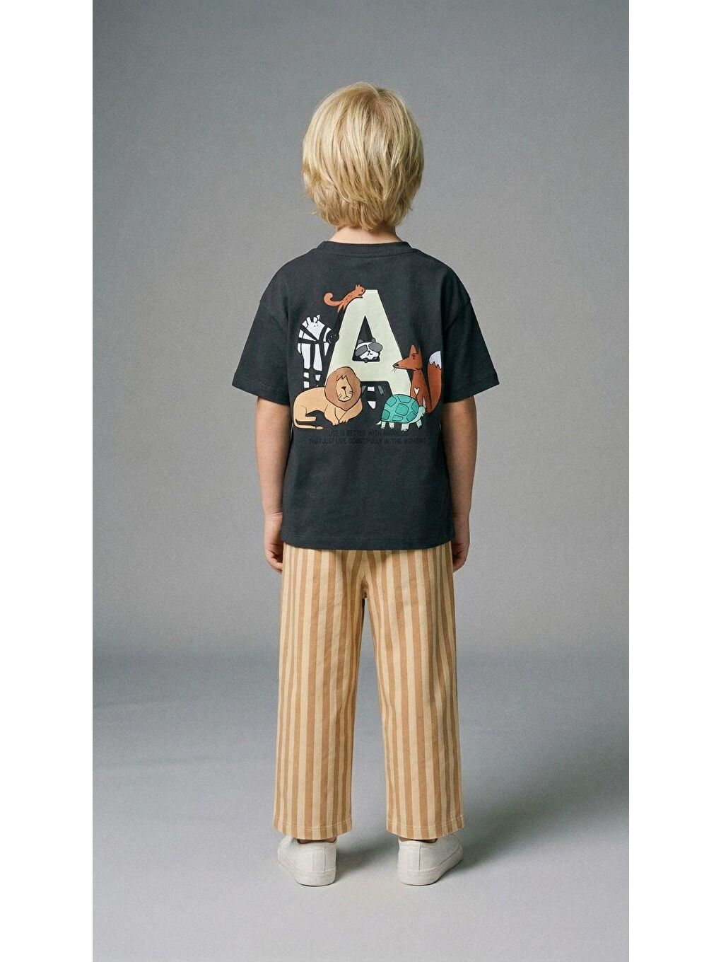 Karışık Erkek Çocuk Pamuklu Baskılı T-Shirt Ve Çizgili Takım-5