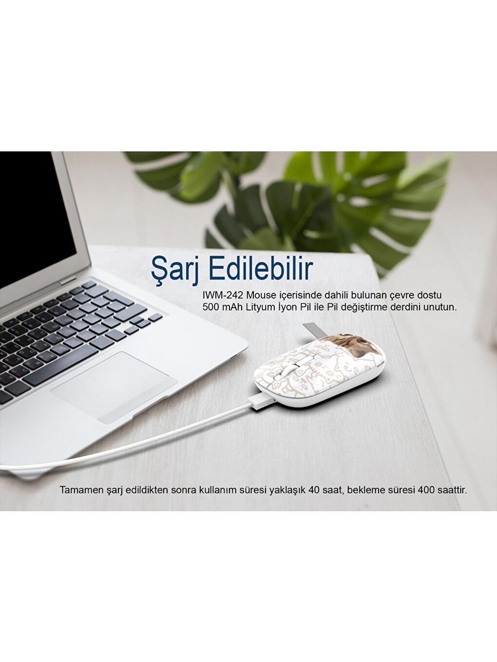 IWM-242K Bluetooth+Wireless Double Mod Rechargeable Silent Mouse-3