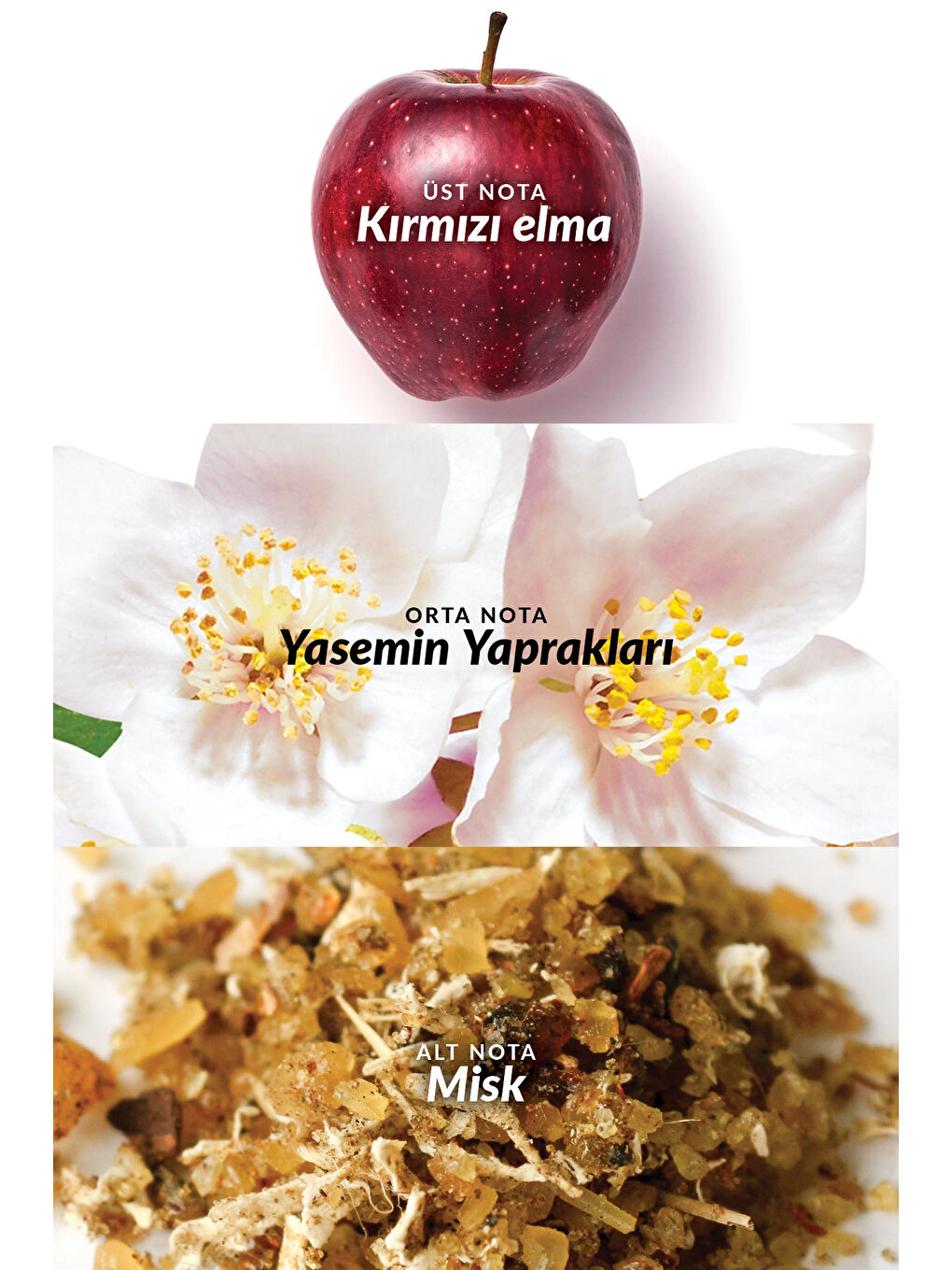 AVON Eve Prive Kadın Parfüm 50+10 ve Vücut Losyonu Paketi - 2