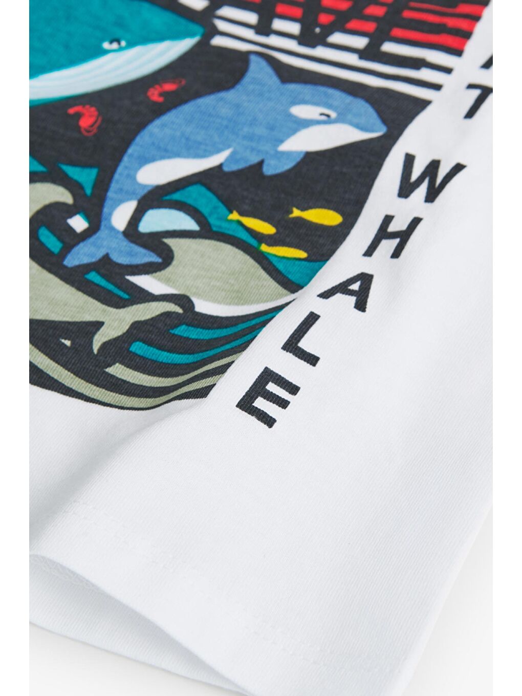 Karışık Erkek Çocuk Tişört-2