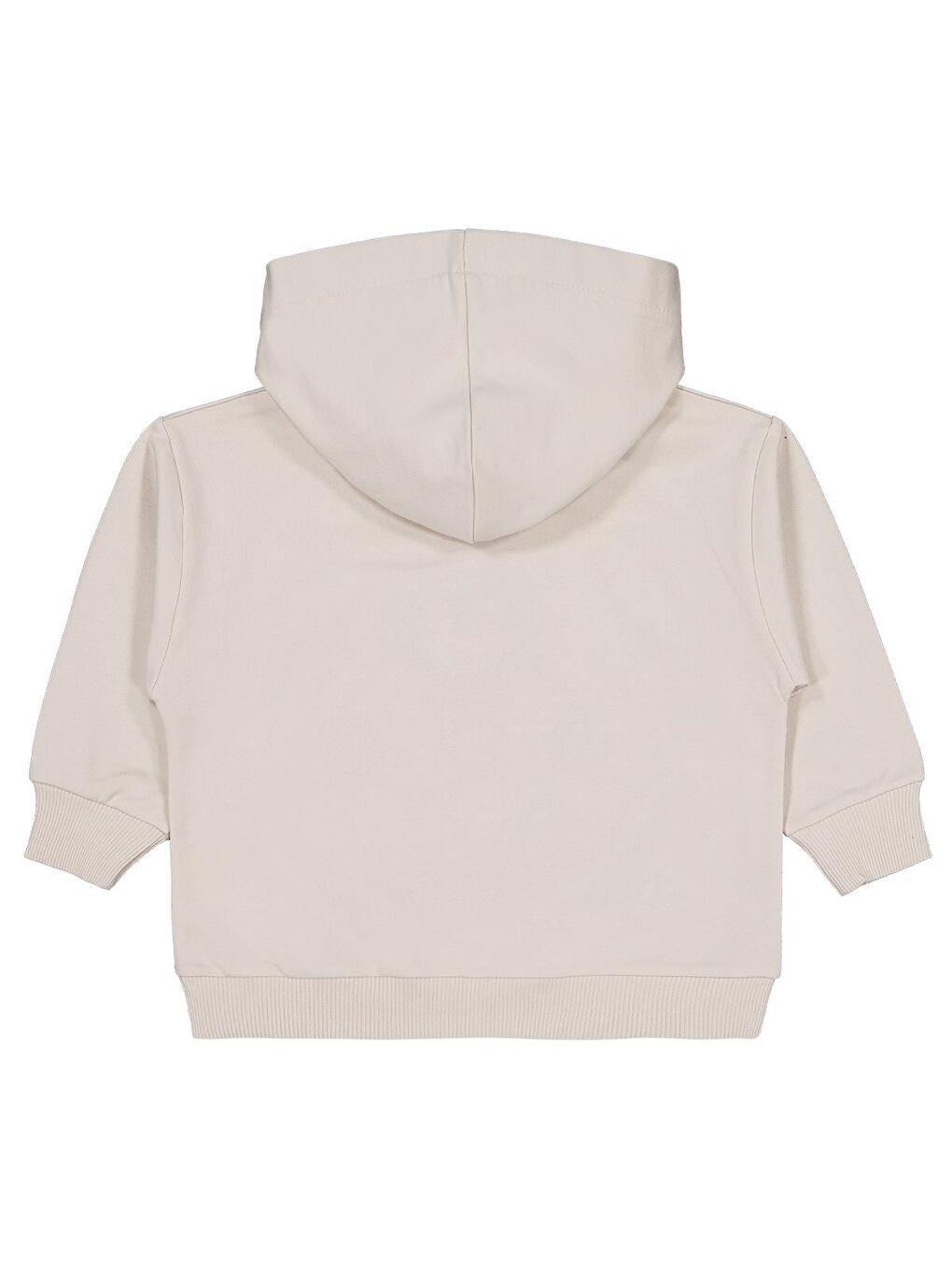 Boys Unıverstıty Ayıcık Nakışlı 2-5 Yaş Sweatshirt - Bej 3-4 Yaş-1