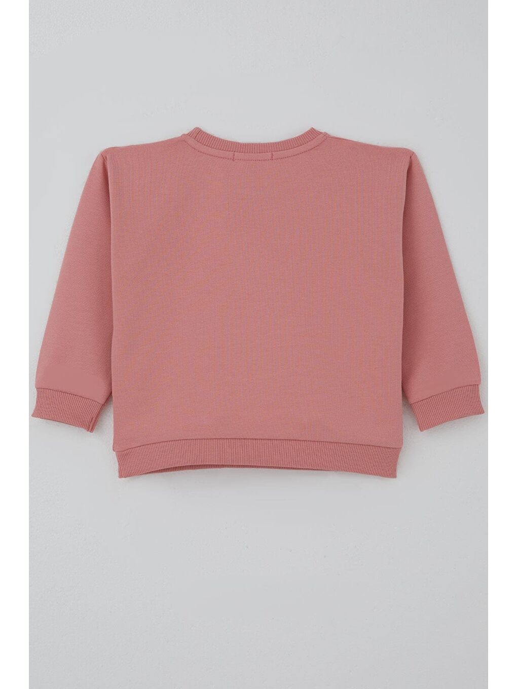 Pembe Kız Çocuk Sweatshirt Triko Çiçek Aplike Armalı Gülkurusu (2-6 Yaş)-3
