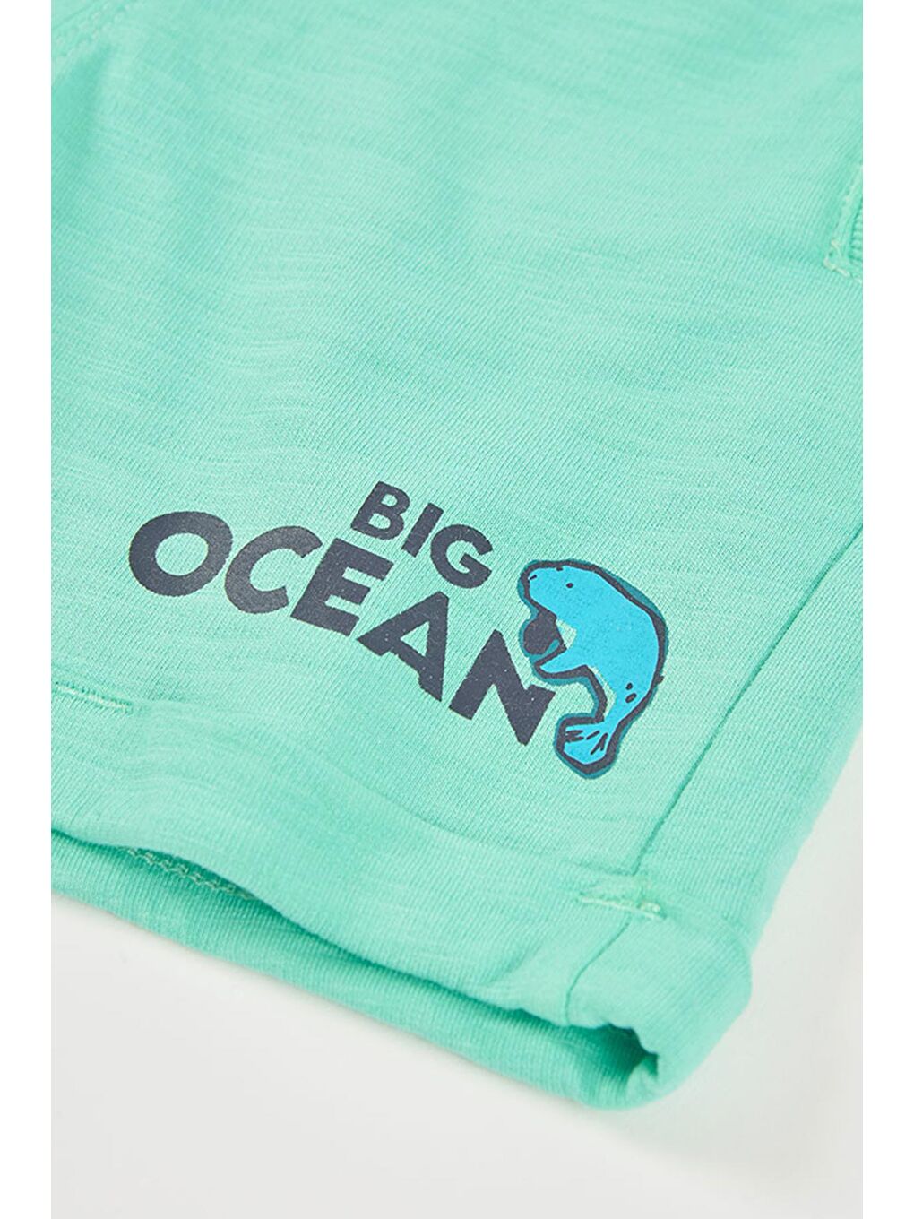 Surf Desenli Bermuda Şort 2-6 Yaş Yeşil-3