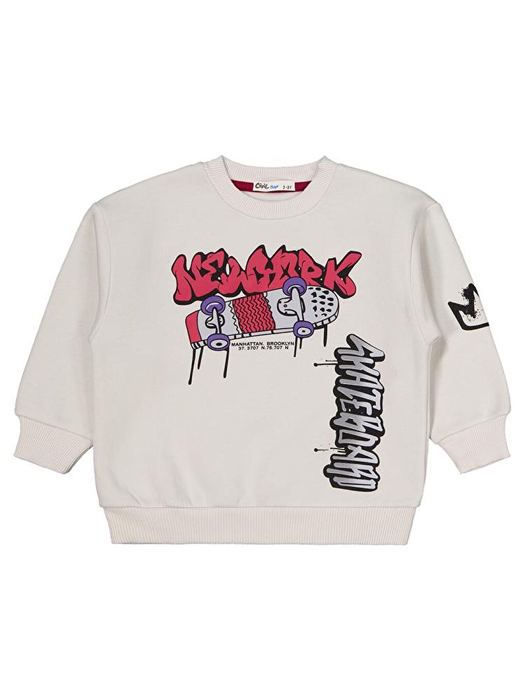 Boys Kaykay Baskılı 2-5 Yaş Eşofman Takımı - Gri 5-6 Yaş-2