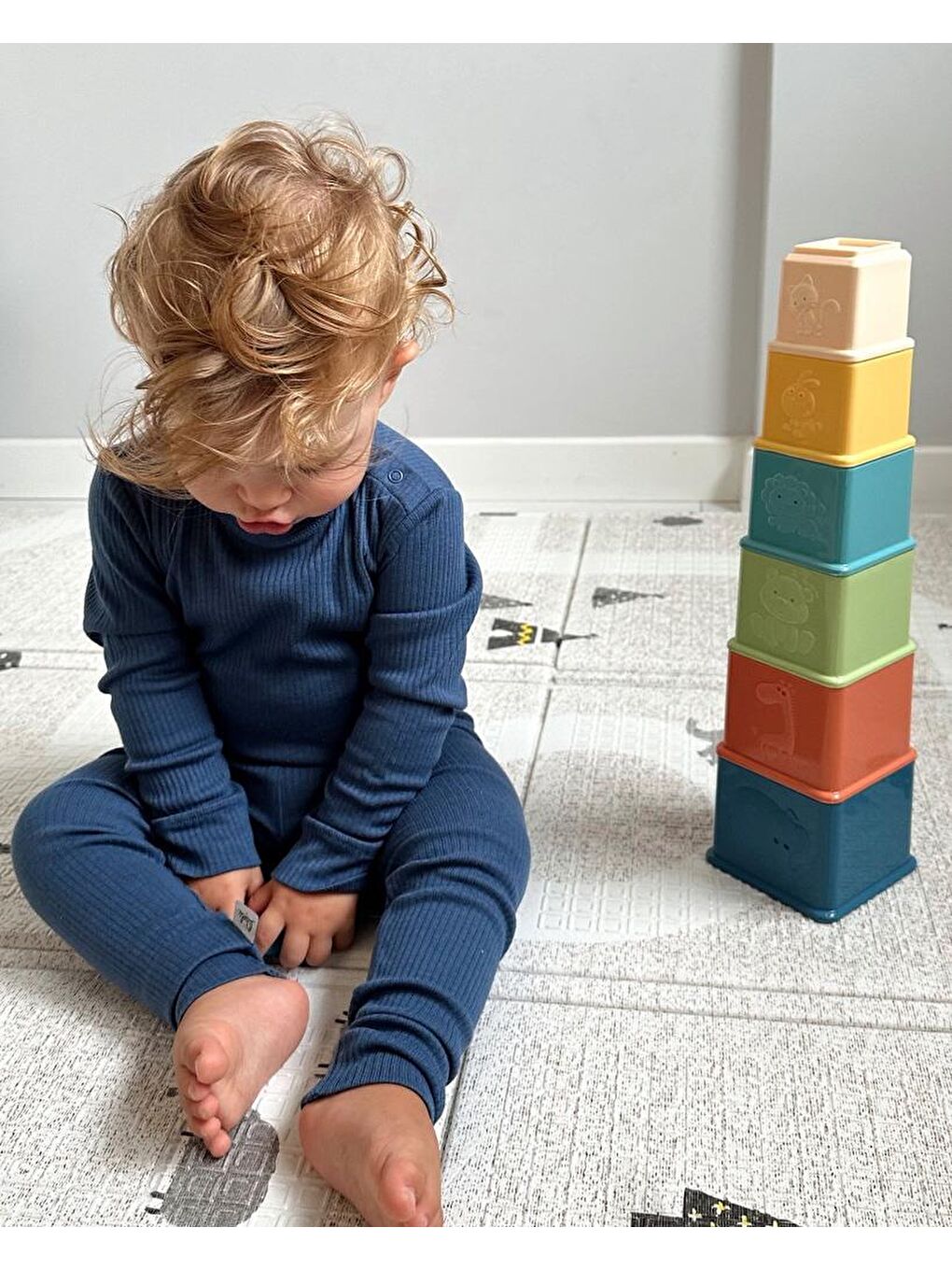 Eğitici Renkli Kaplar-4