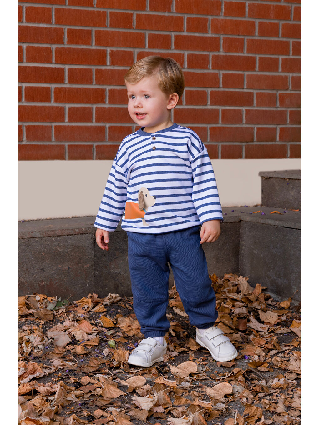 Mavi Çizgili Köpek Desenli Erkek Bebek Uzun Kol Tişört