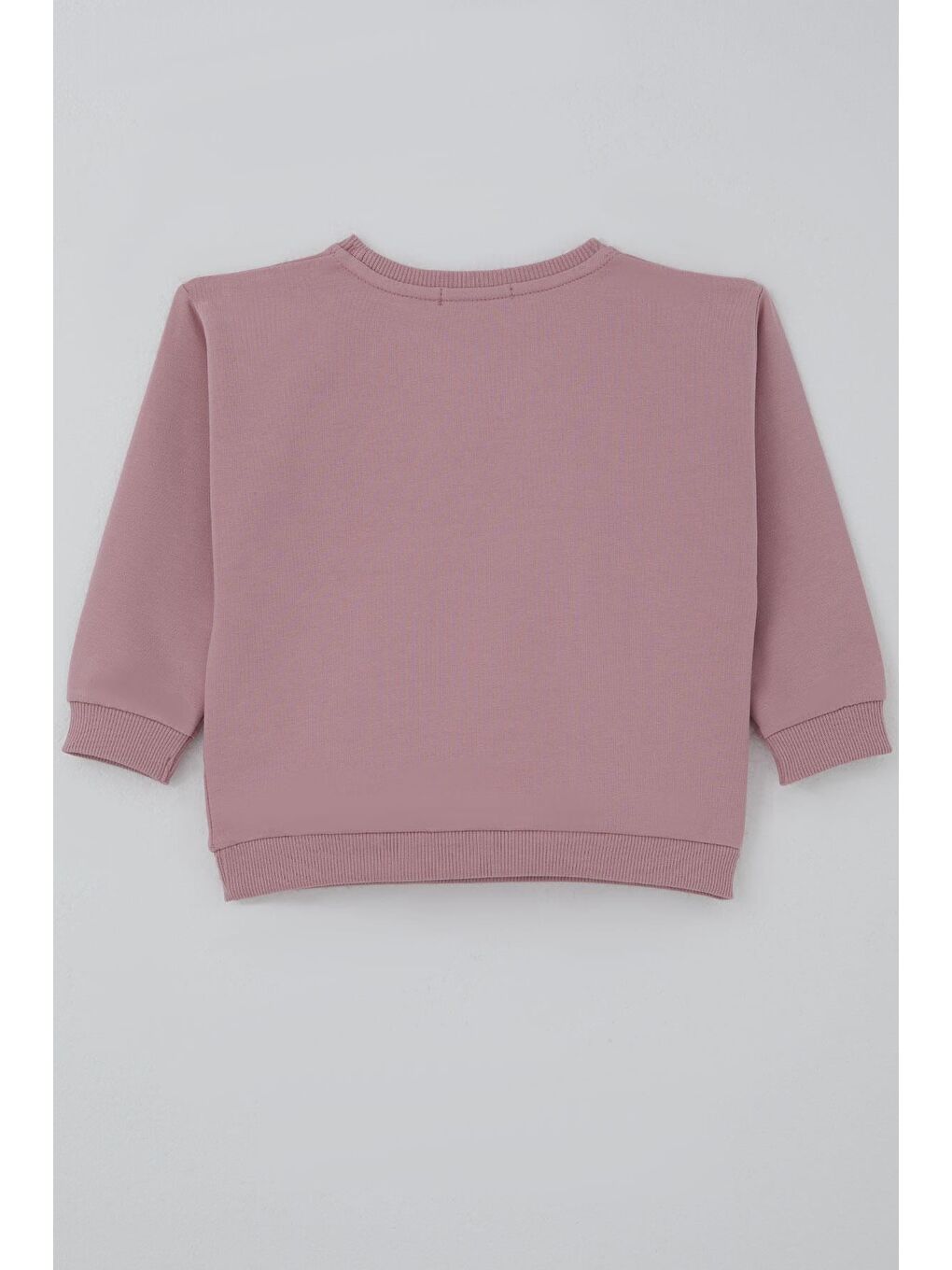 Pembe Kız Çocuk Sweatshirt Triko Çiçek Aplike Armalı Gülkurusu (2-6 Yaş)-1