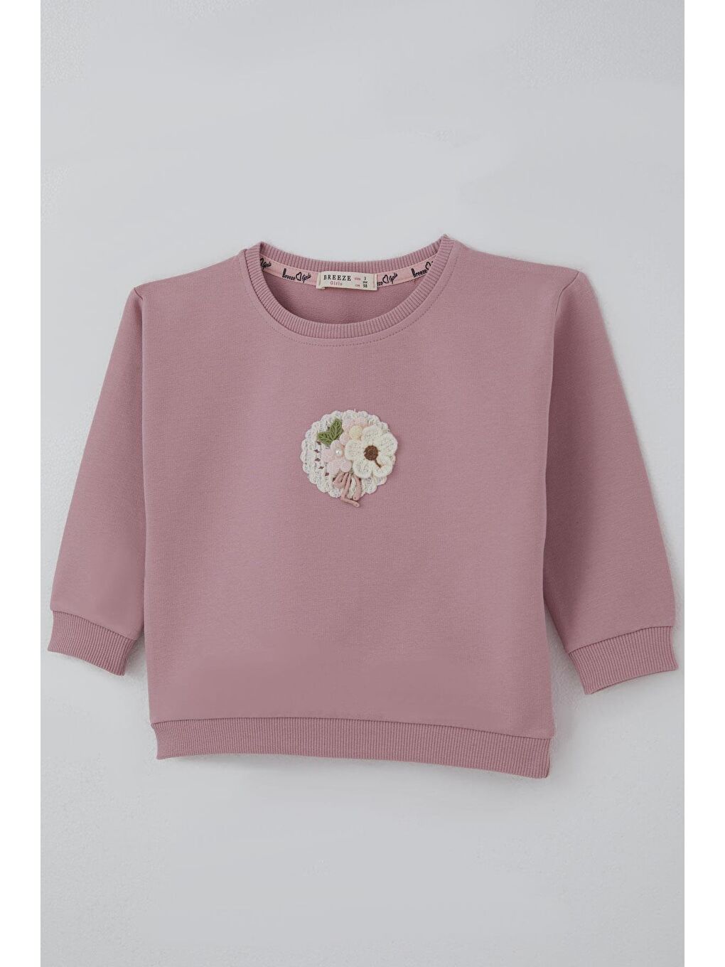 Pembe Kız Çocuk Sweatshirt Triko Çiçek Aplike Armalı Gülkurusu (2-6 Yaş)-2
