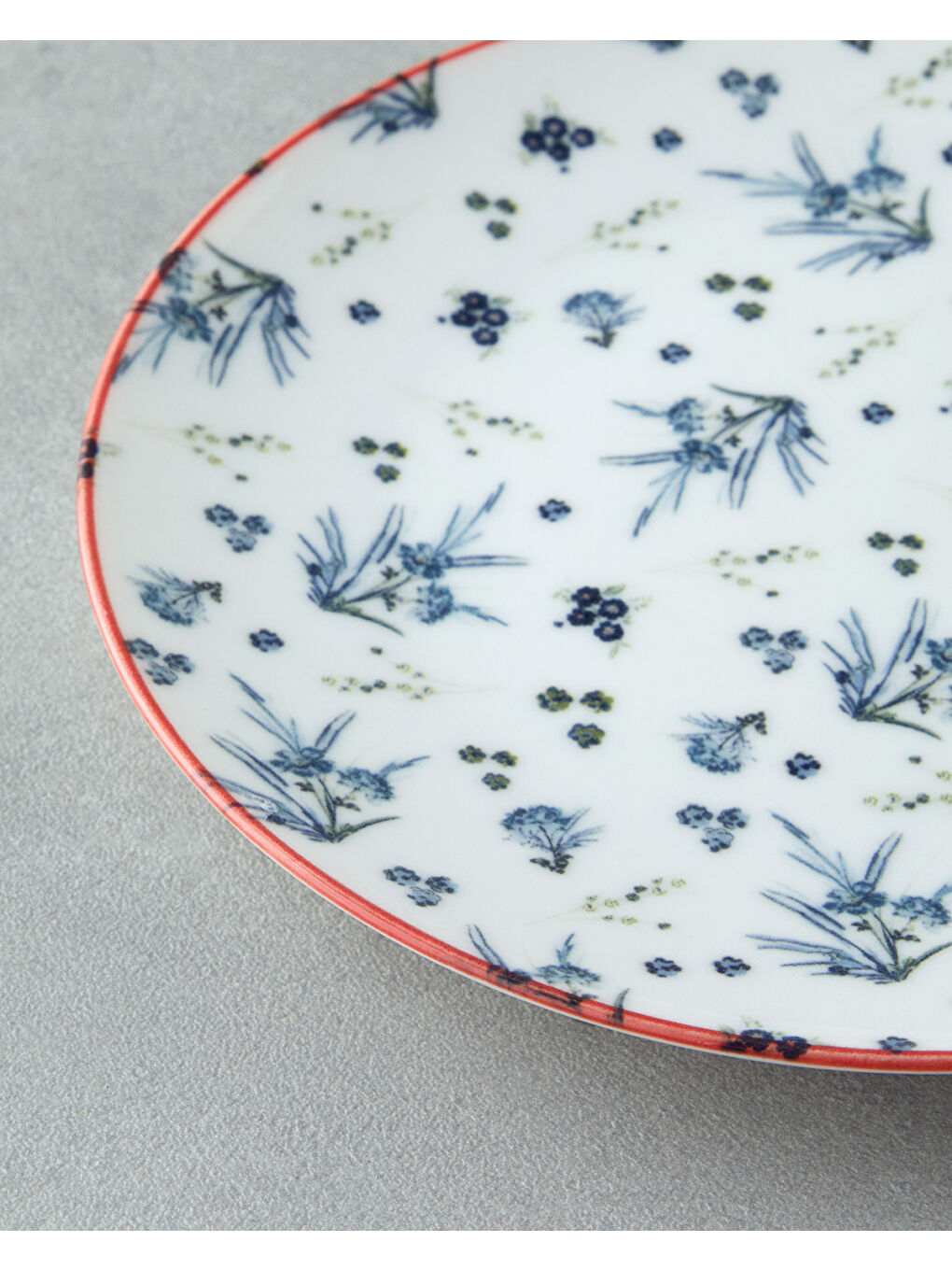 Chimera Bone Porselen Pasta Tabağı 19 cm Mavi-2