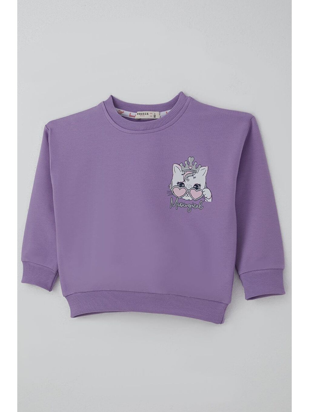 Kız Çocuk Sweatshirt Minik Taçlı Kedi Prenses Baskılı Sırt Baskı Detaylı Lila (1.5-5 Yaş)-5