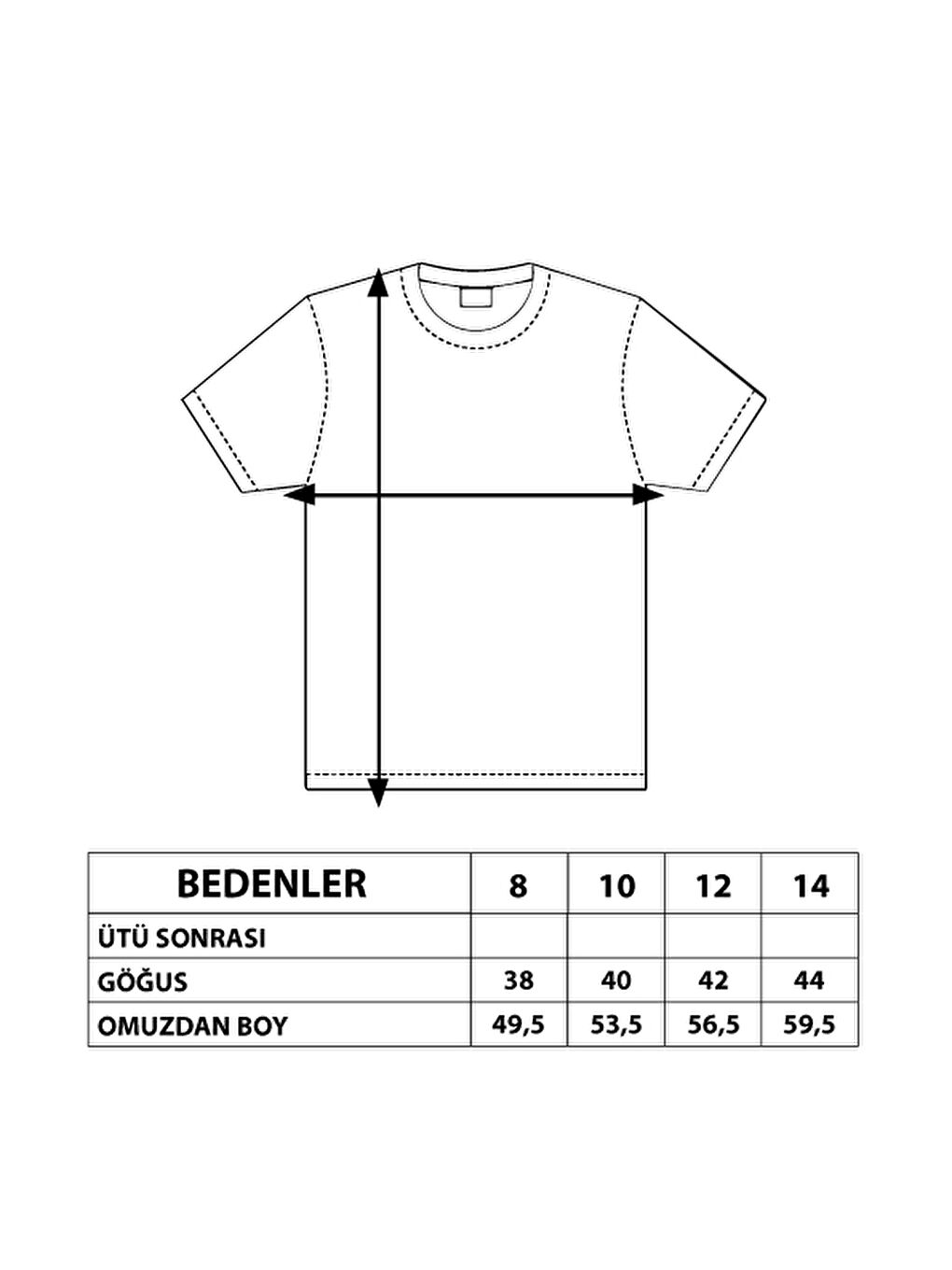 Pembe Kız Çocuk Çizgili Kelebek Baskılı Tişört-1