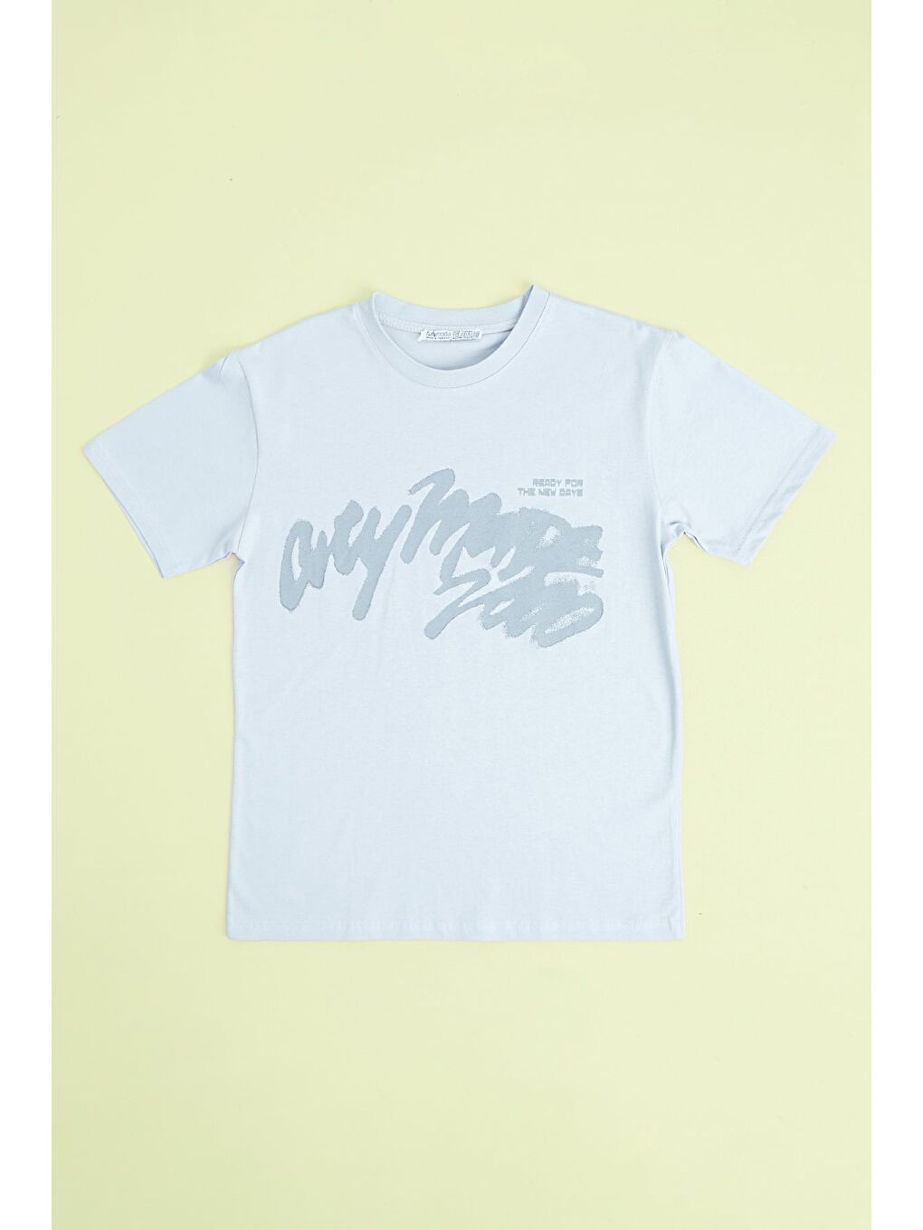 Gri Yazı Baskılı Bisiklet Yaka Erkek Çocuk Tişört