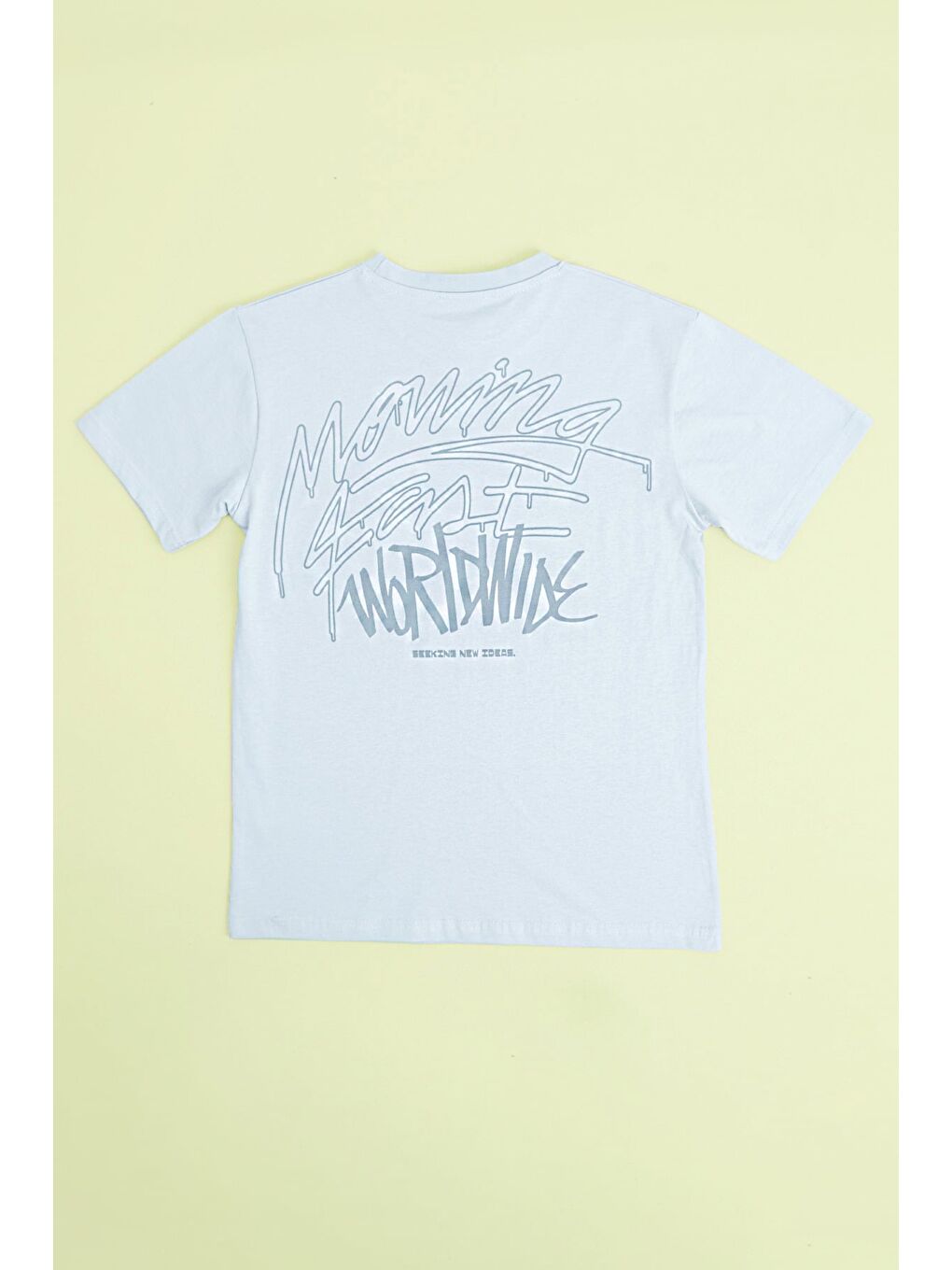 Gri Yazı Baskılı Bisiklet Yaka Erkek Çocuk Tişört-1