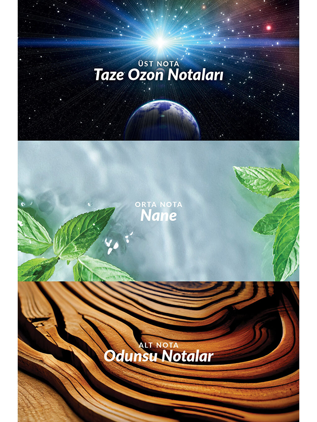 Full Speed Surfer Erkek Parfüm ve Saç Vücut Şampuanı Paketi-2