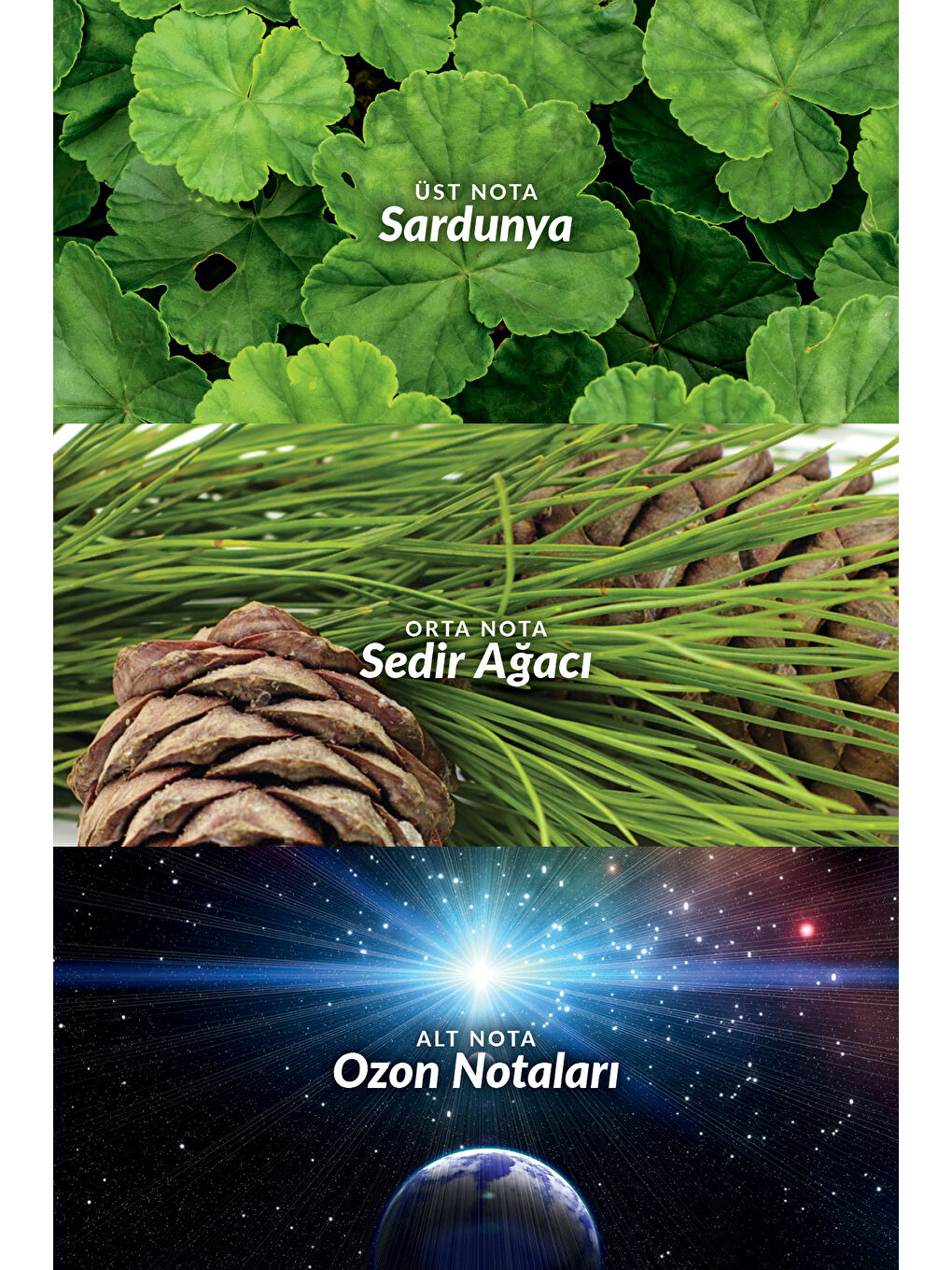 Full Speed Quantum Erkek Parfüm ve Deodorant Paketi-2