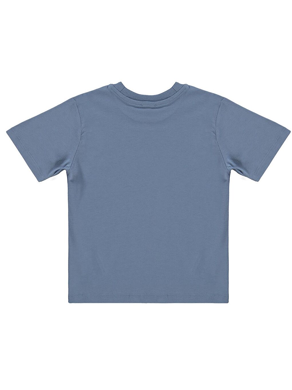 İndigo Boys Basic Surf Etiketli 2-5 Yaş Tişört - Mavi-1