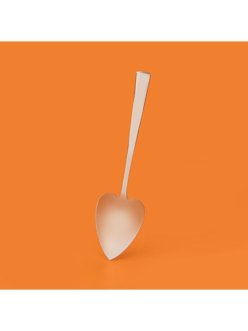 Can Canan 5 Parça Servis Takımı - Gri-5