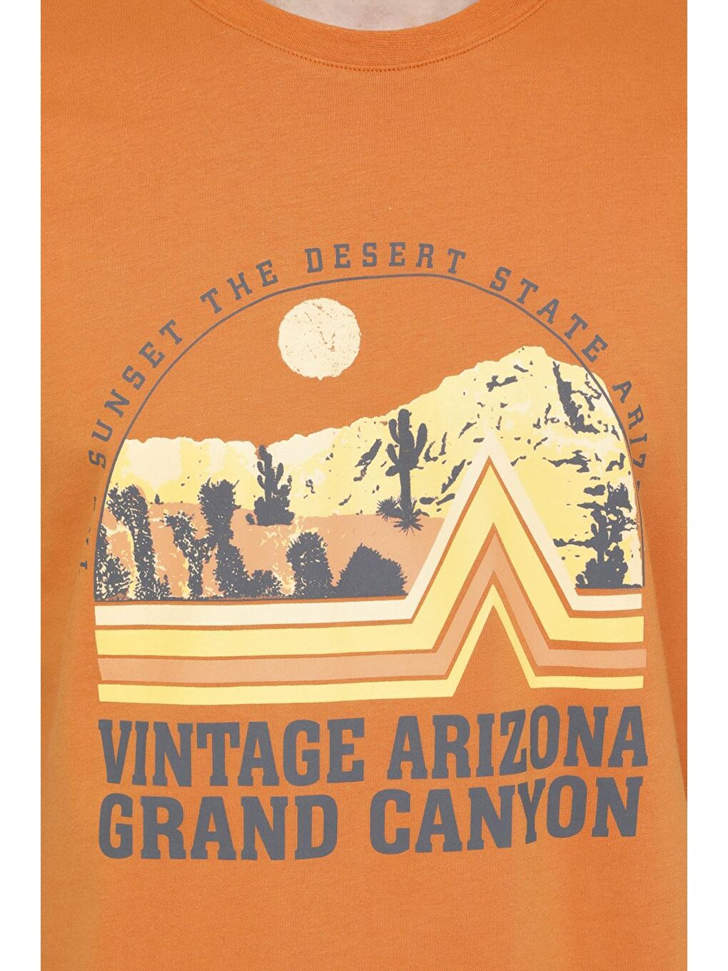 ML ZANDER 11OD-141 4FX Turuncu Erkek Kısa Kol Tişört-3