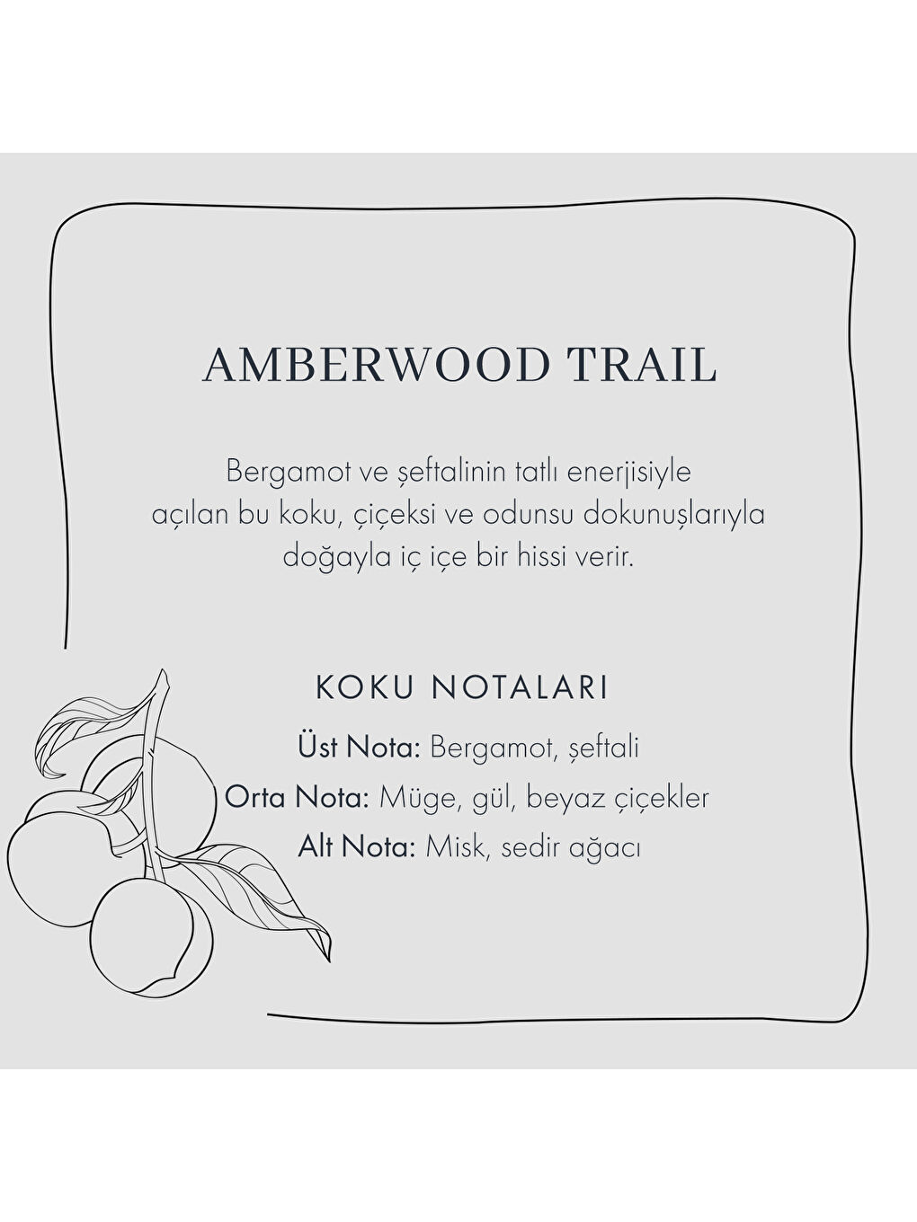 Amberwood Koku Seti Sarı-3