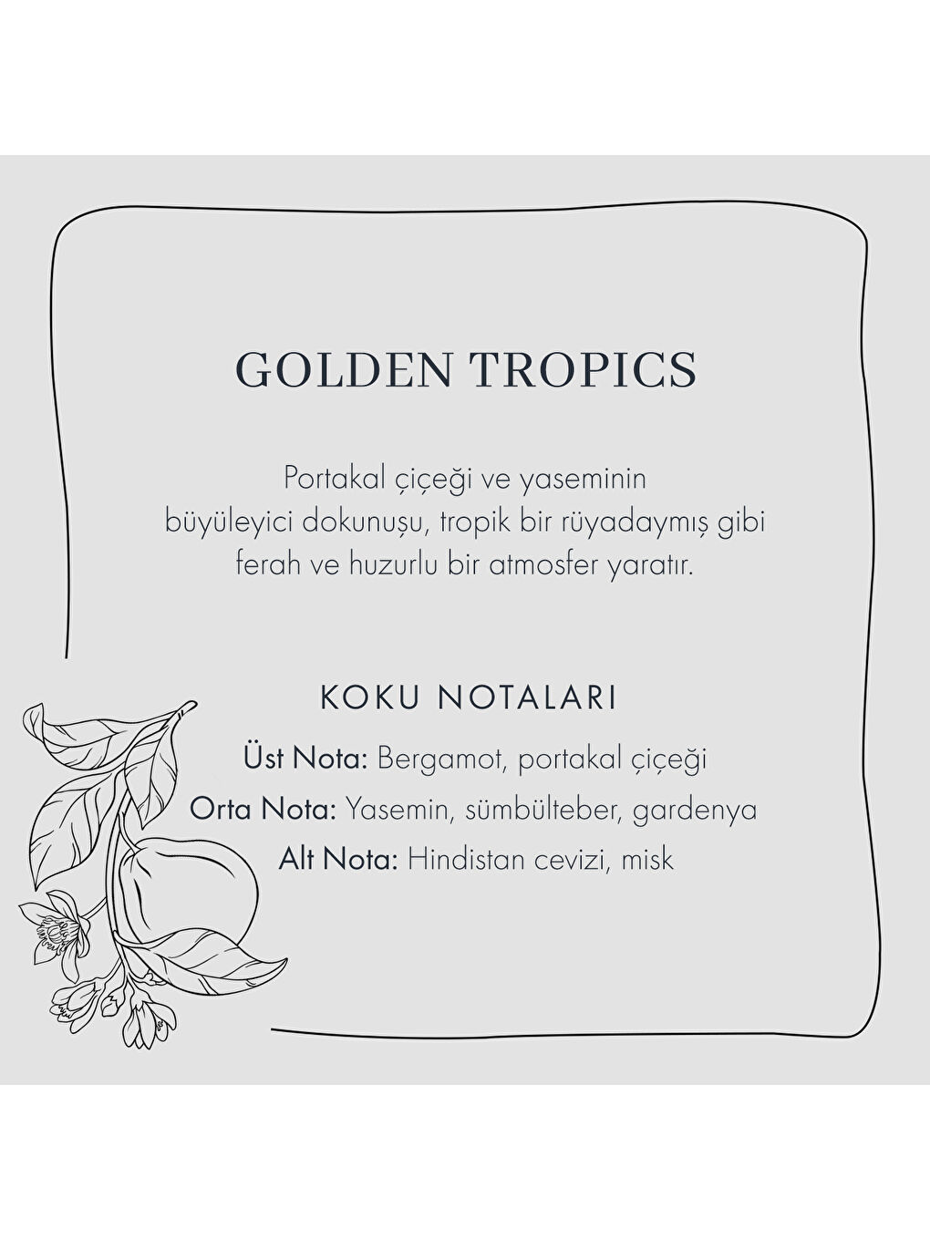 Golden Tropics Koku Seti Yeşil-4