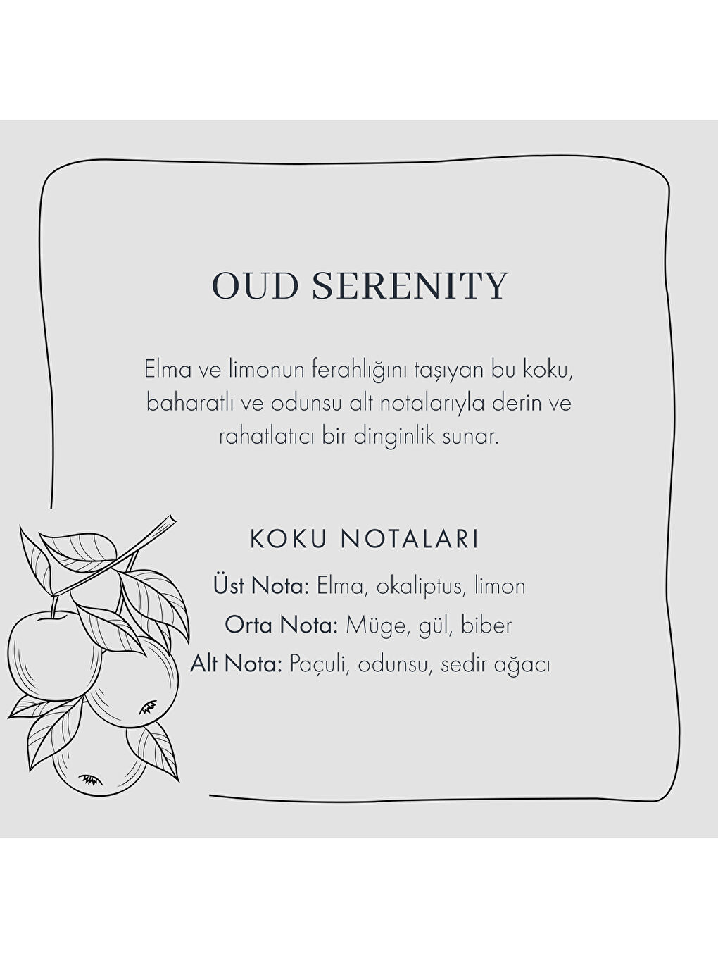 Pembe Oud Serenity Oda Koku Seti Amber-3