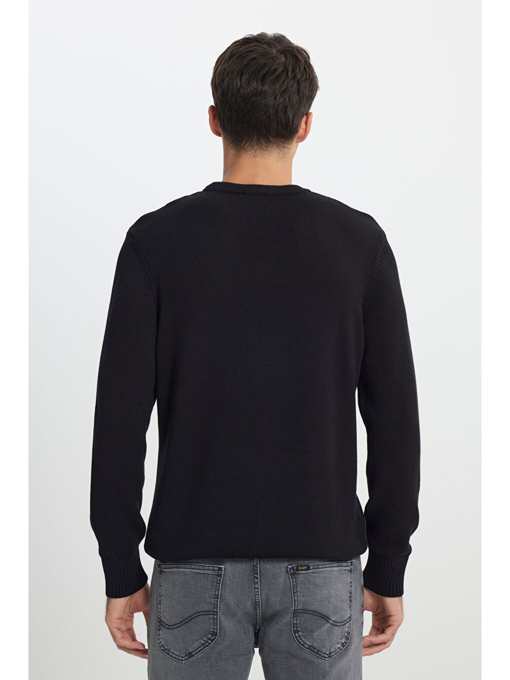 Regular Fit Normal Kesim Bisiklet Yaka Siyah Triko-2