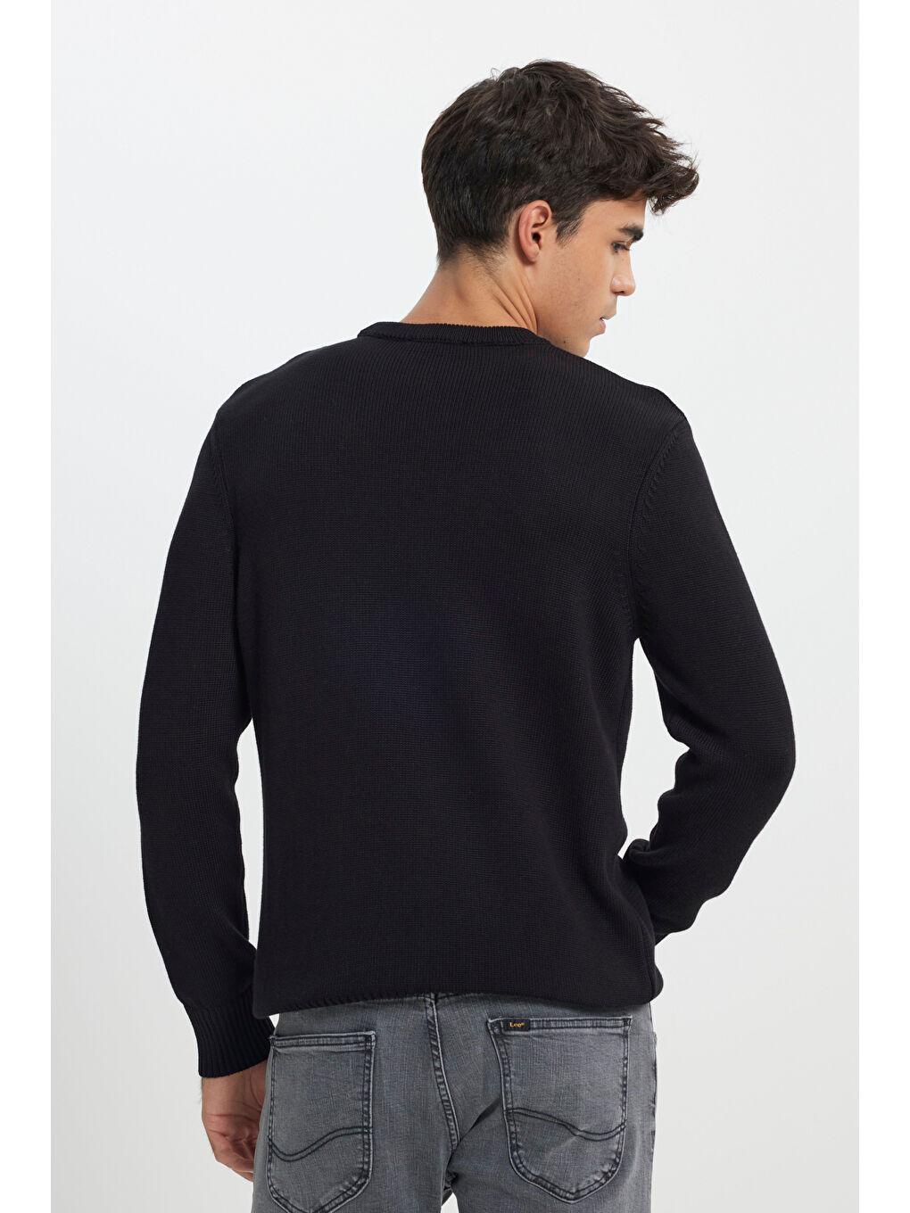 Regular Fit Normal Kesim Bisiklet Yaka Siyah Triko-3