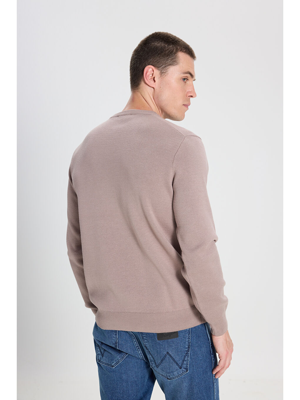 Bej Regular Fit Normal Kesim Bisiklet Yaka Vizon Triko Kazak-5