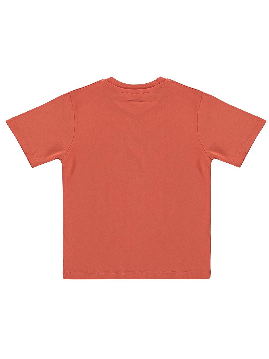 Boys Basic Surf Etiketli 2-5 Yaş Tişört - Turuncu-1