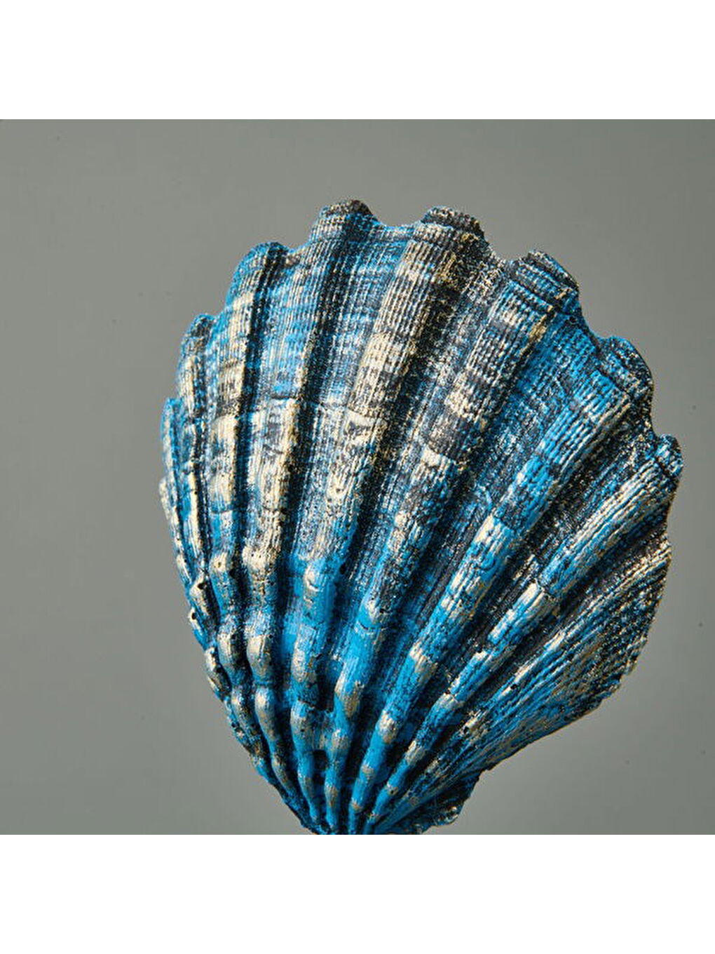 Sarı Deco Seashell Dekor - Mavi / Gold - 32 cm-1