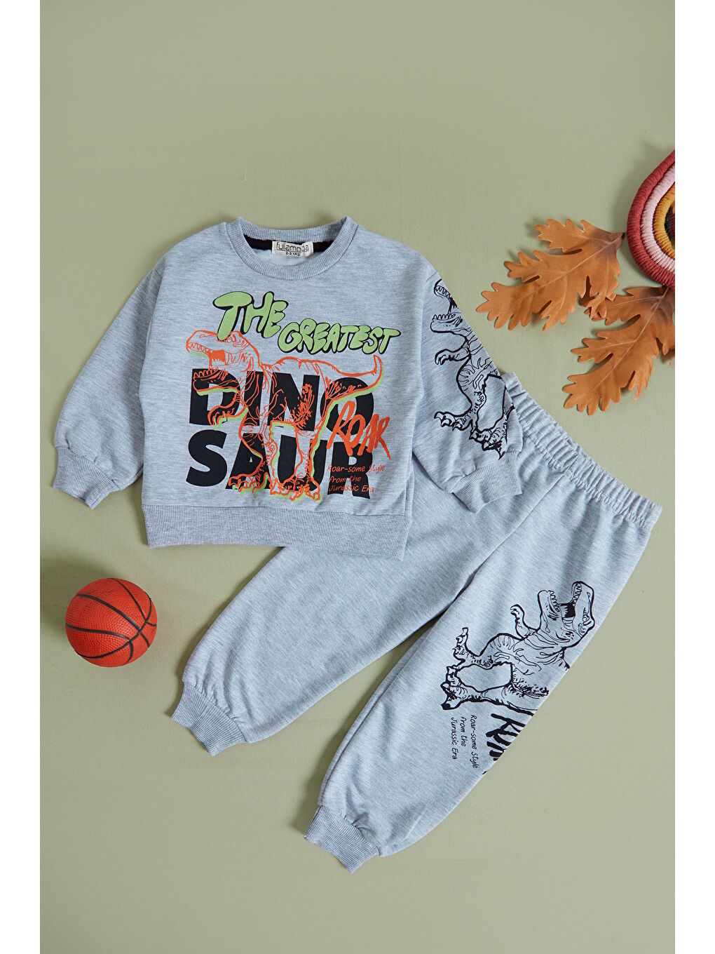 Gri Dinozor Baskılı Erkek Çocuk Sweatshirt Takım