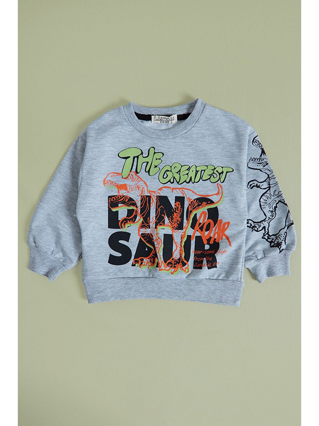 Gri Dinozor Baskılı Erkek Çocuk Sweatshirt Takım-1