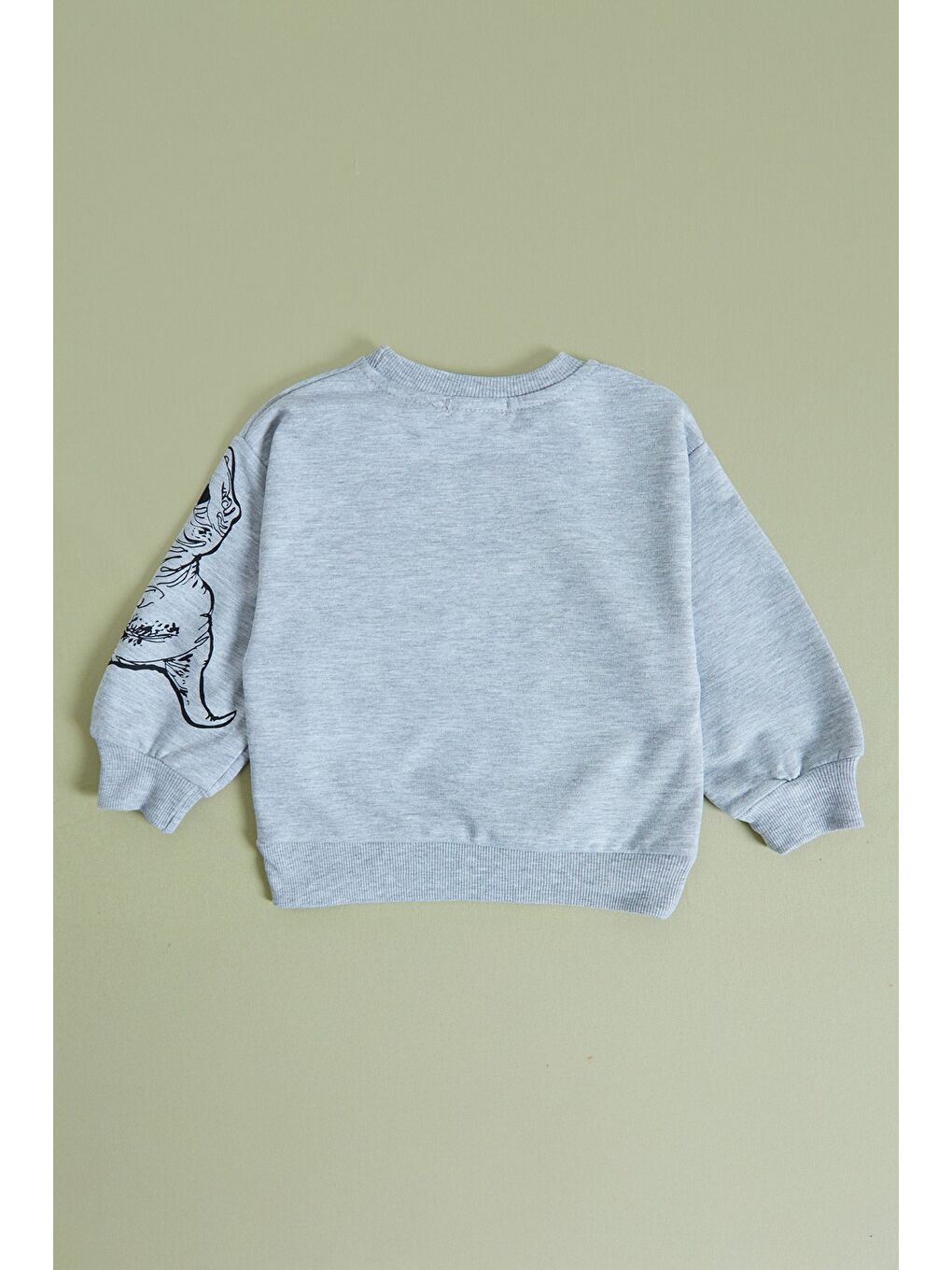 Gri Dinozor Baskılı Erkek Çocuk Sweatshirt Takım-2