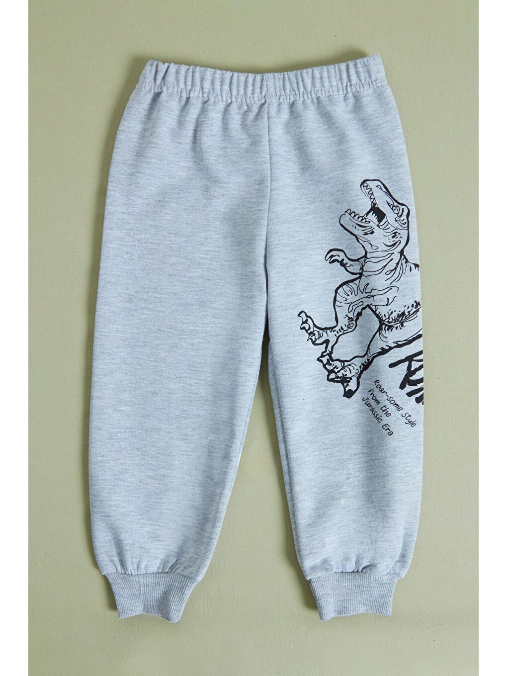 Gri Dinozor Baskılı Erkek Çocuk Sweatshirt Takım-3